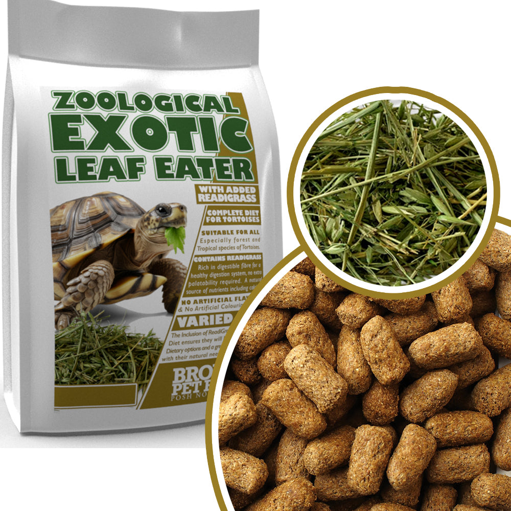 Exotic Leaf Eater | Original Formula for Tortoises With ReadiGrass