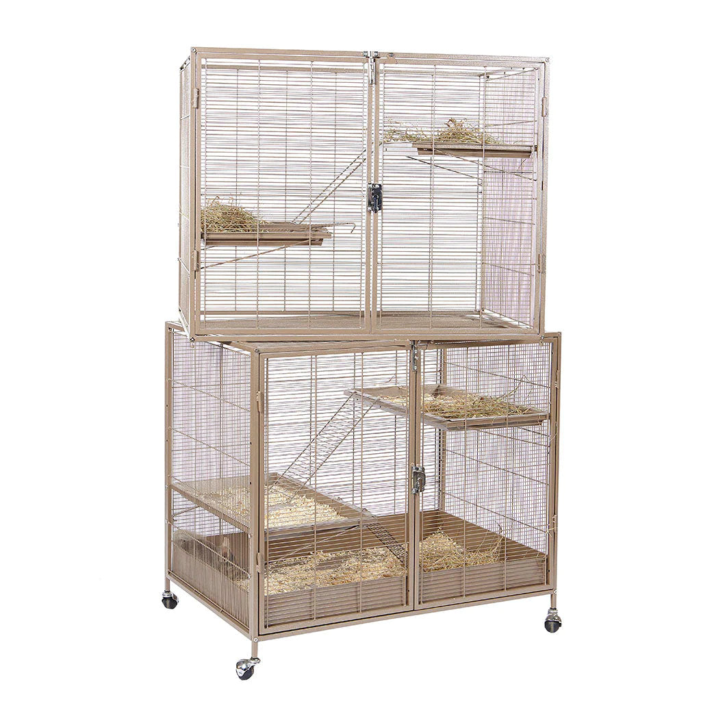 Rats and cage best sale for sale
