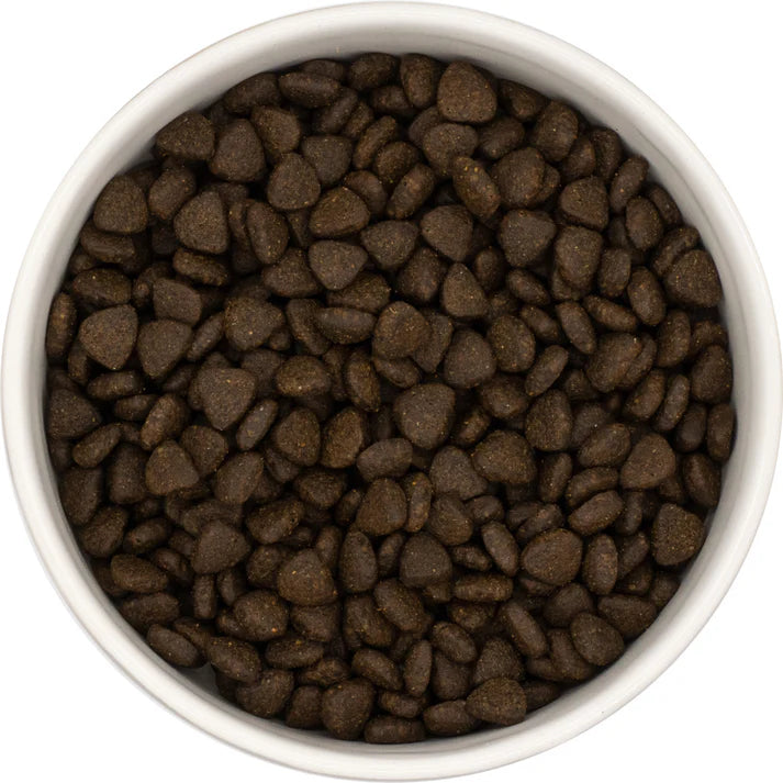 Alpha Pup Scottish Salmon | Posh Nosh For Puppies - BROWNS PET RANGE