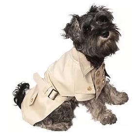 Brown's Pet Range Urban | Cream Trench Coat For Dogs - - Browns Pet Range
