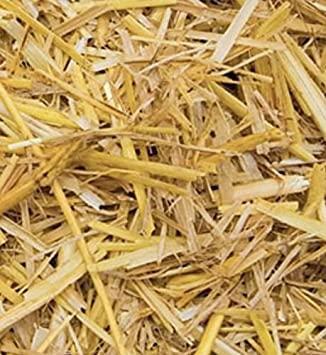 Brown's Small Animal | Barley Straw 1.5kg - Small Animal - Browns Pet Range