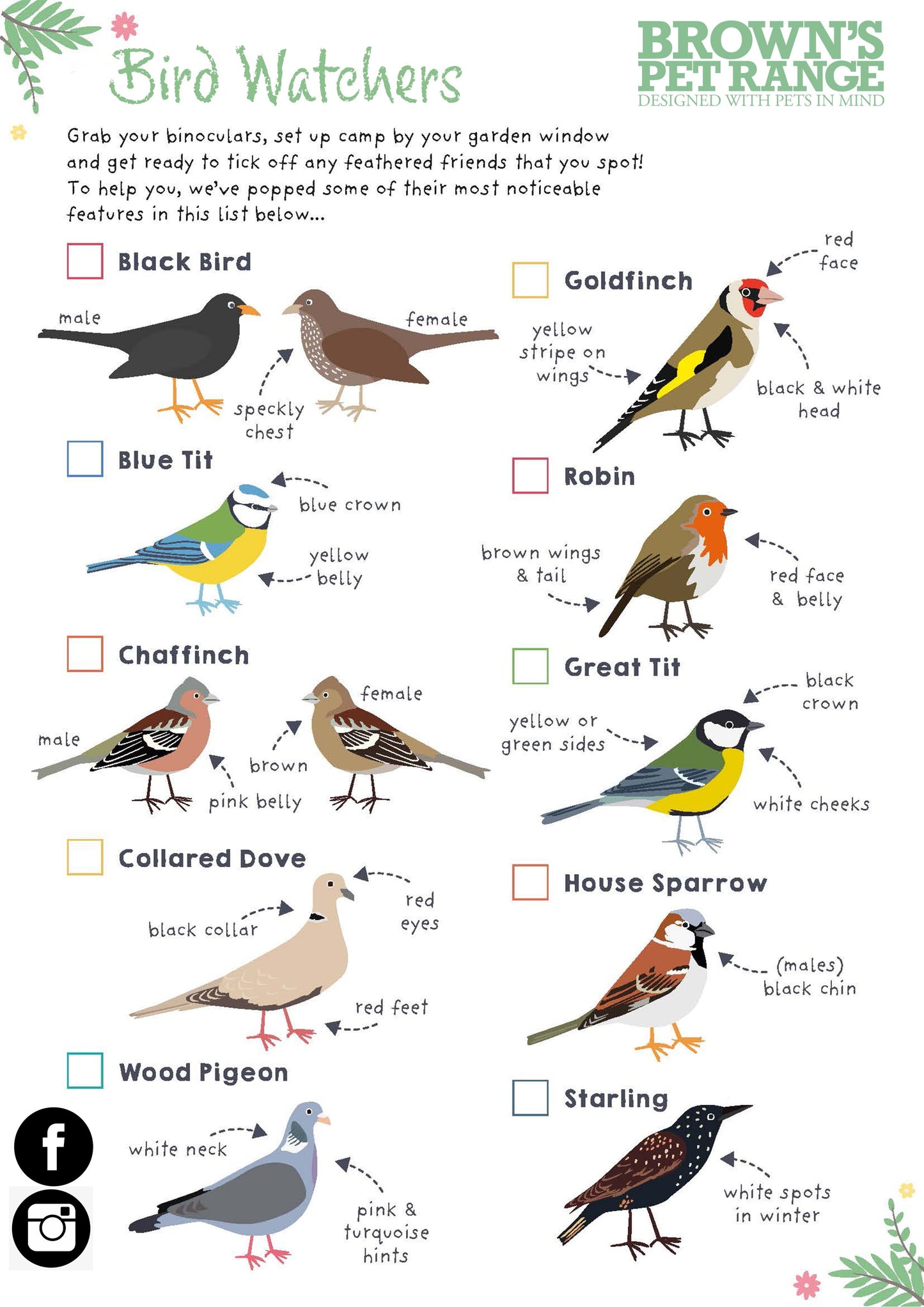 Brown's Wild Life | Wild Bird Starter Kit - BROWNS PET RANGE