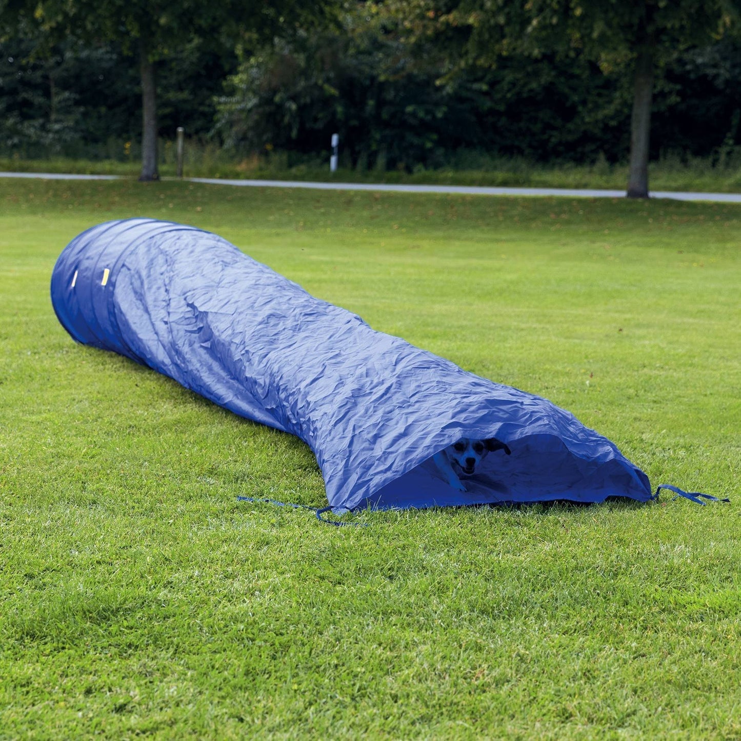 Dog Agility Training | Sack Tunnel - Dog Accessories - Browns Pet Range