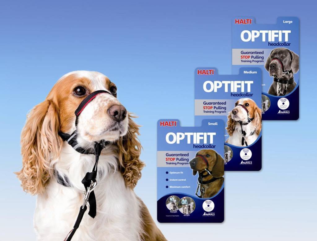 NEW Halti OptiFit Headcollar - - Browns Pet Range