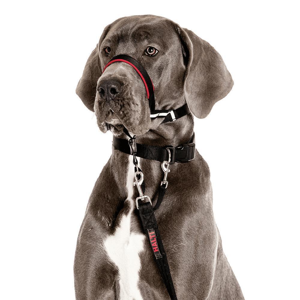 Halti OptiFit Headcollar – BROWNS PET RANGE