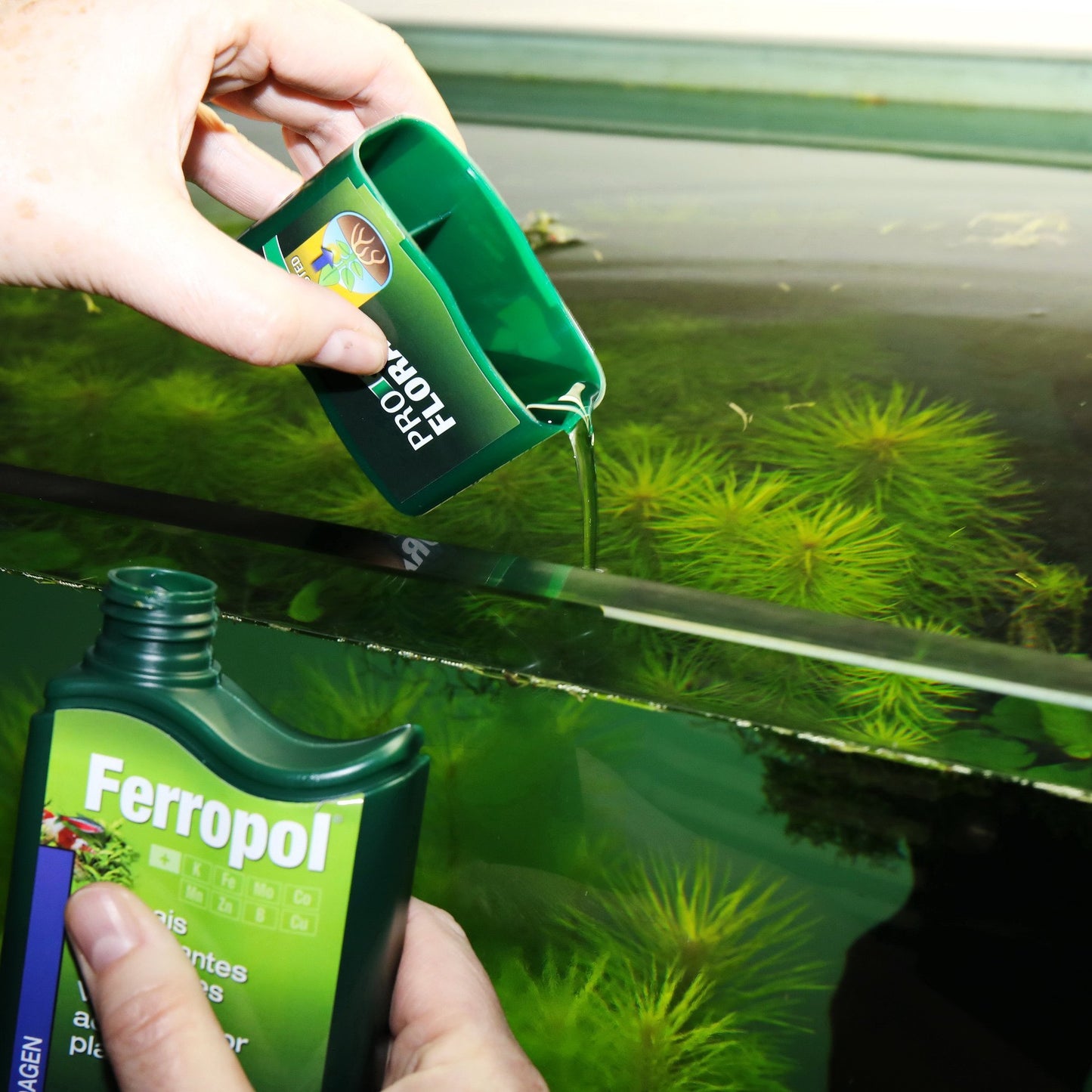 JBL PROFLORA Ferropol - Plant fertiliser for freshwater aquariums - - Browns Pet Range