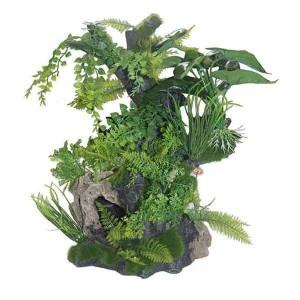 Medium Root and Plants - - Browns Pet Range