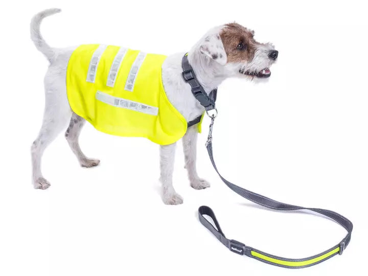 Safety Vest | Reflective Vest for Dogs | Size Varieties - BROWNS PET RANGE