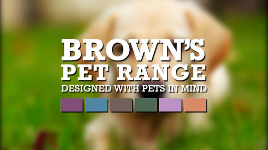 Is Your Dog Food Gluten Free?