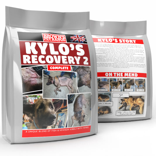Kylo's Recovery | Skin Calming Diet | Herbal K9 Posh Nosh For Dogs