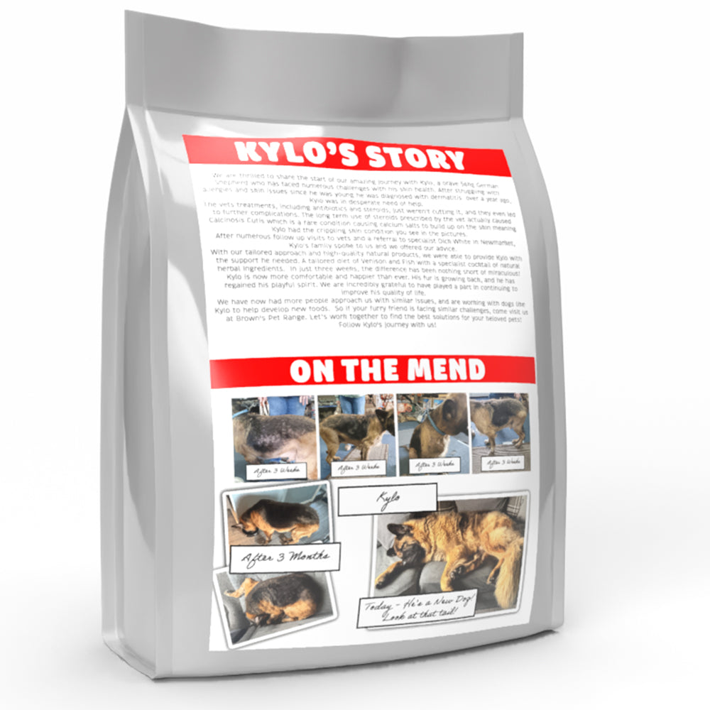 Kylo's Recovery | Skin Calming Diet | Herbal K9 Posh Nosh For Dogs