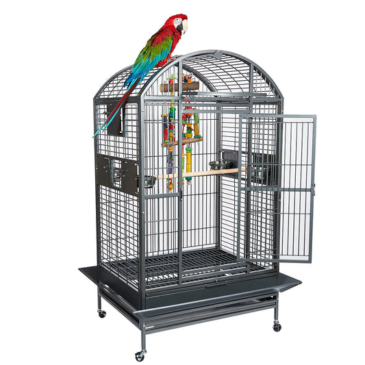 Parrot & Bird Enclosures – BROWNS PET RANGE