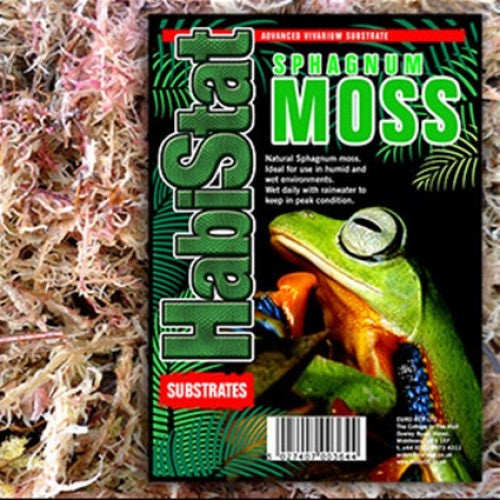 Sphagnum Peat Moss 250g - Terrarium Substrate for Amphibians or Reptiles