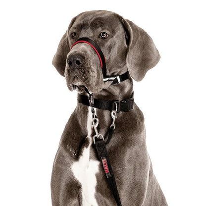 Halti OptiFit Headcollar – BROWNS PET RANGE - Main Image