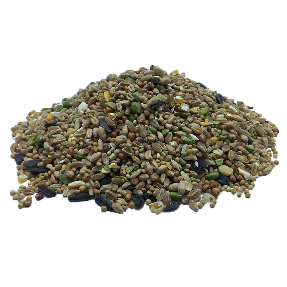 Posh Nosh for Wild Birds Economy Mix Bird Seed BROWNS PET RANGE